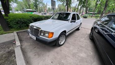 Mercedes-Benz: Mercedes-Benz W124: 1989 г., 2.3 л, Механика, Бензин, Седан