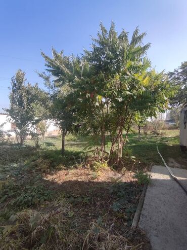 продажа домов в бишкеке без посредников: Үй, 69 кв. м, 4 бөлмө, Кыймылсыз мүлк агенттиги, Косметикалык оңдоо