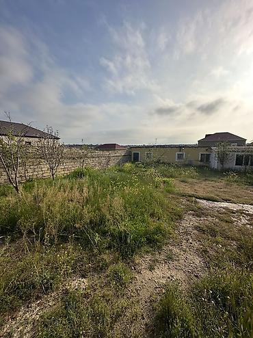 baki torpaq: 6 sot, Tikinti, Maklerlər narahat etməsin, Kupça (Çıxarış) — 5