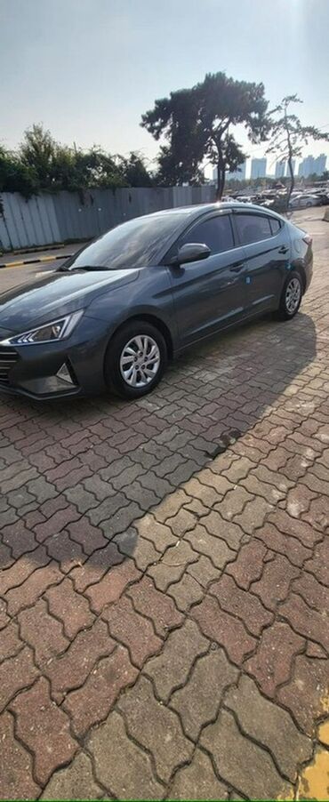 капалка копалка картофелекопалка: Hyundai Avante: 2019 г., 1.6 л, Автомат, Бензин, Седан