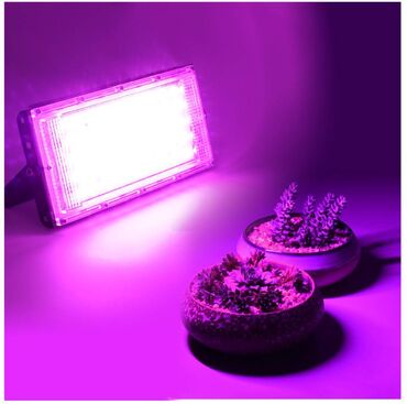 Baštenska rasveta: Led Reflektor Rast Biljki Led Grow Full Spectrum 50w 220v — 3
