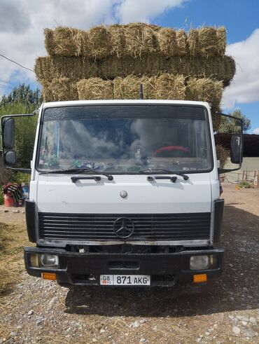 грузовые продажа: Легкий грузовик, Б/у