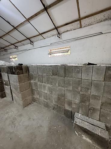 нужны: Полистиролбетонный блок, 600x200x300, D450, Самовывоз, Платная доставка — 1