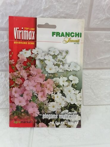 Semena i sadnice: Cena 500din/kesica — 26