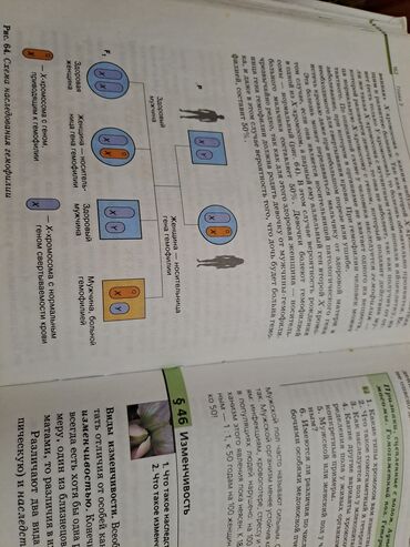 Digər kitablar və jurnallar: Общая биология,10-11 классы -da lalafo.az — 5 Digər kitablar və jurnallar: Общая биология,10-11 классы — 5