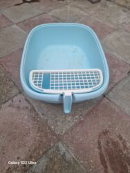 отдам в добрые руки баку: Salam axır qiyməti 20 manat