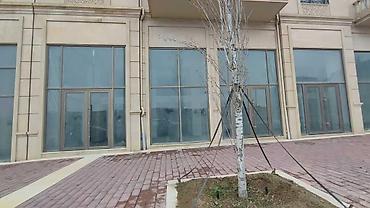 Daşınmaz əmlak: Satılır obyekt 140 m², Şah İsmayıl Xətai m. 1 780 000 AZN 140 m² Sahə — 2