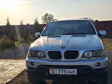 mini cuper: BMW X5: 2002 г., Автомат, Бензин, Кроссовер — 1