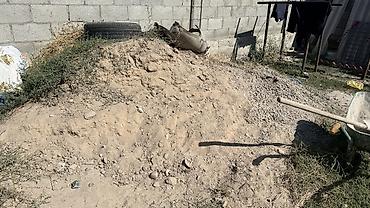 строймусор: Можете забрать песок и немного щебня, строймусор, для заполнения ям — 1