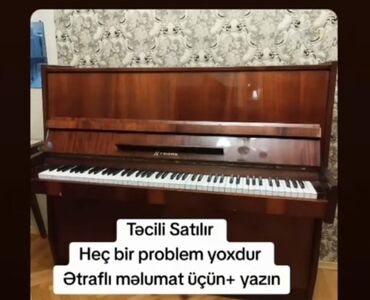 Velosipedlər: Piano, Akustik