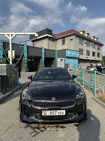work kiwami: Kia Stinger: 2017 г., 2 л, Автомат, Бензин, Фастбек — 1
