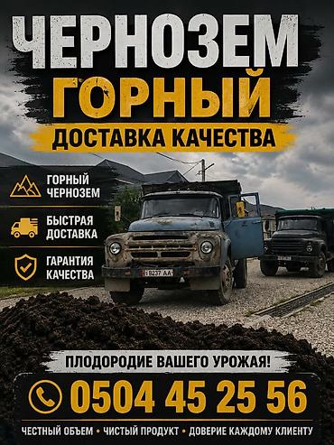 ягоды: ЫСЫК АТА ТОГУЗ БУЛАК Чернозём горный — плодородный грунт для огородов — 1