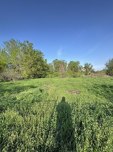 Продажа коттеджей и домов: ✨ Продаётся дом в с. Военно-Антоновка ✨ 🏡 Характеристики: • Участок - — 7