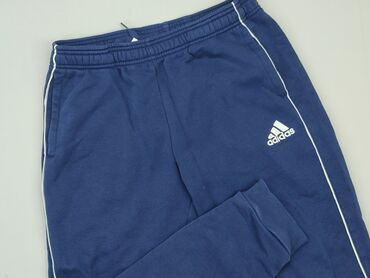 koszulka biala adidas: Sweatpants, Adidas, 16 years, 176, condition - Very good