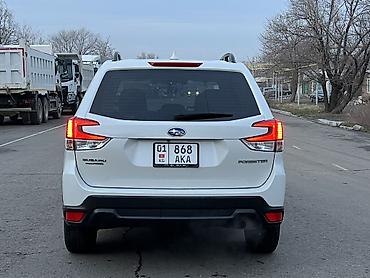 туманник: Subaru Forester: 2019 г., 2.5 л, Автомат, Бензин, Кроссовер — 2