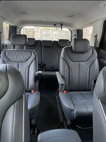 2022: Hyundai Palisade: 2022 г., Дизель, Седан — 8