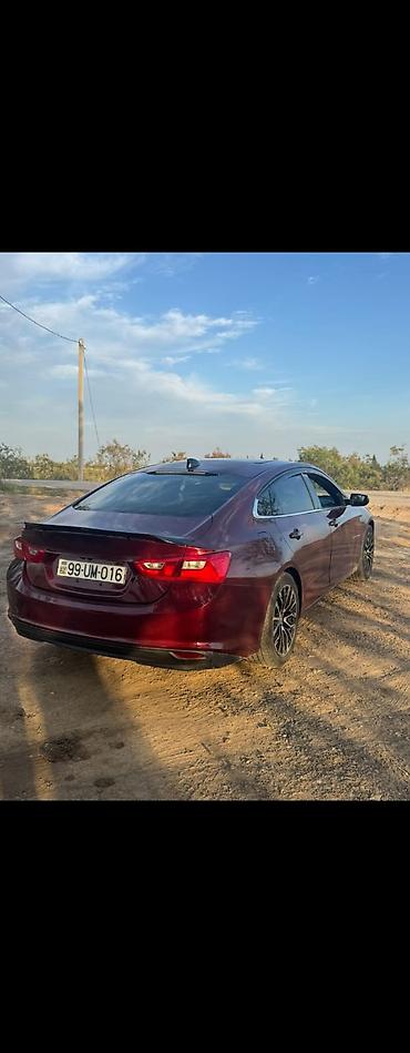man sat: 0090 Chevrolet malibu 2016 malibu qadin masinidi şeherde sure — 5
