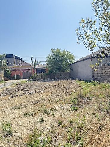 3 sot torpaq: 3 sot, Tikinti, Mülkiyyətçi, Kupça (Çıxarış) — 1