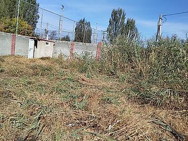 уборка травы на участке: Косим травы сорняк камышей живой изгороди стришка газон ЧОП чабабыз — 2