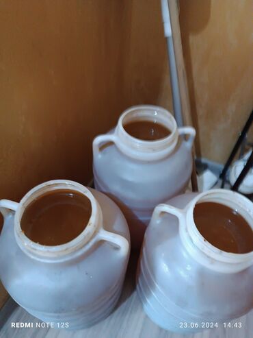 чайные бомбочки бишкек: Ысык Атанын табигый тоо балы сатылат кг 500 сом продаю иссик атинский