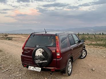 крейсер бишкек: Honda CR-V: 2003 г., 2 л, Автомат, Бензин, Кроссовер — 5