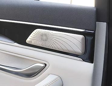 ev: Byd Song Plus ev dmi 23-25 Декоративные накладки на дверные решётки — 2