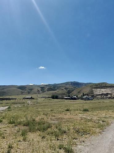 Продажа коттеджей и домов: Продаю дом+кошару в совхозе Ала-Тоо у подножия горы, есть условия для — 24