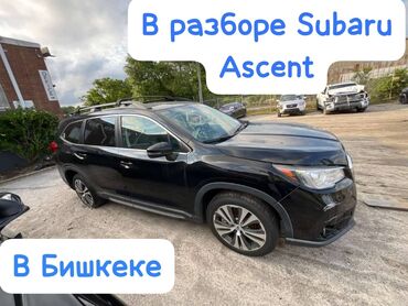 рога авто: В продаже автозапчасти на Subaru Ascent!!!! Субару Аскент!!!! В