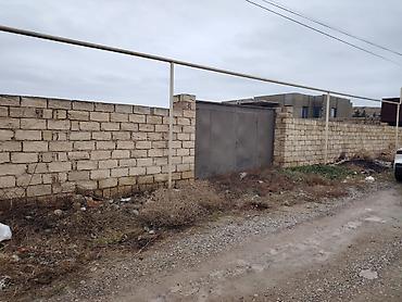 Torpaq: 12 sot, Tikinti, Mülkiyyətçi, Kupça (Çıxarış) — 3