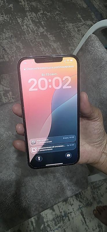iphone 10r: IPhone 12 Pro Max, Б/у, 256 ГБ, Чехол, 74 % — 1
