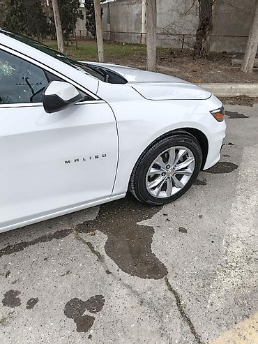 Chevrolet: Chevrolet Malibu sedan iL 2021 - Kuzov: ağ rəng, 4 qapı, aerodinamik — 4