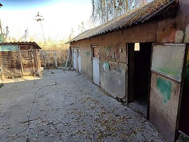 Распашные ворота: Продается дом, в доме четыре комнатыверанда,душ с туалет, есть at lalafo.kg — 17 Распашные ворота: Продается дом, в доме четыре комнатыверанда,душ с туалет, есть — 17