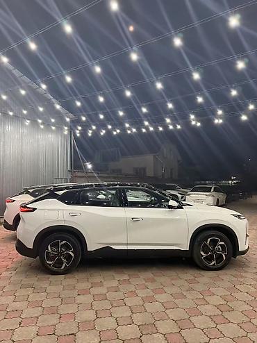 утеплитель радиатора: Dongfeng : 2026 г., Автомат, Электромобиль, Кроссовер — 9