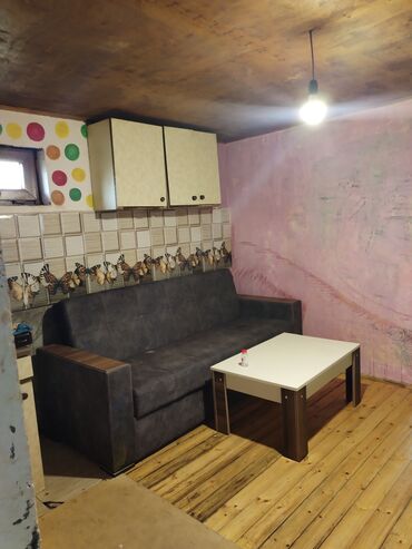 Uzunmüddətli kirayə evlər: 32 kv. m, 2 otaqlı, Qaz, İnternet, Artezian quyusu — 10