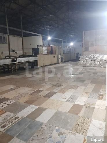 Kommersiya daşınmaz əmlakının satışı: Gəncə şəhəri Avtozavod qəsəbəsində yerləşən istehsalat müəssisəsi — 13