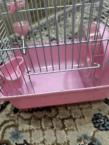 Qəfəslər: 1 ədəd ana hamster 3 ədəd bala hamster 2 kletka biri böyük biri — 1