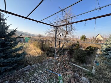 Продажа участков: 5 соток, Для сельского хозяйства, Красная книга, Тех паспорт, Договор купли-продажи — 4