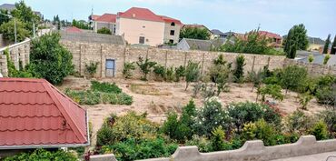 Həyət evləri və villaların satışı: Buzovna 7 otaqlı, 245 kv. m, Kredit yoxdur, Orta təmir -da lalafo.az — 2 Həyət evləri və villaların satışı: Buzovna 7 otaqlı, 245 kv. m, Kredit yoxdur, Orta təmir — 2