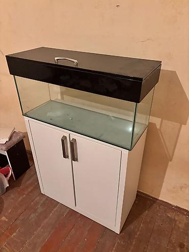 Dördbucaq akvarium, Boş, 80 l