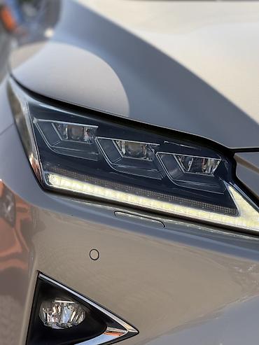 old man: Lexus RX: 2019 г., 3.5 л, Автомат, Бензин, Кроссовер — 6