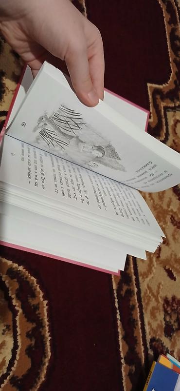 Художественная литература: Rus dilində uşaq/yeniyetmə romanı – illüstrasiyalı kitab - Dili: rus — 2