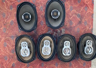 qapi dinamik: Evvala zeng catmir vacapa yazn kalonkalar yaxsi veziydedir 1 cut yevro