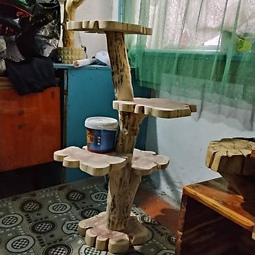 Полки, этажерки для цветов: Полка, этажерка для цветов, Дерево — 1