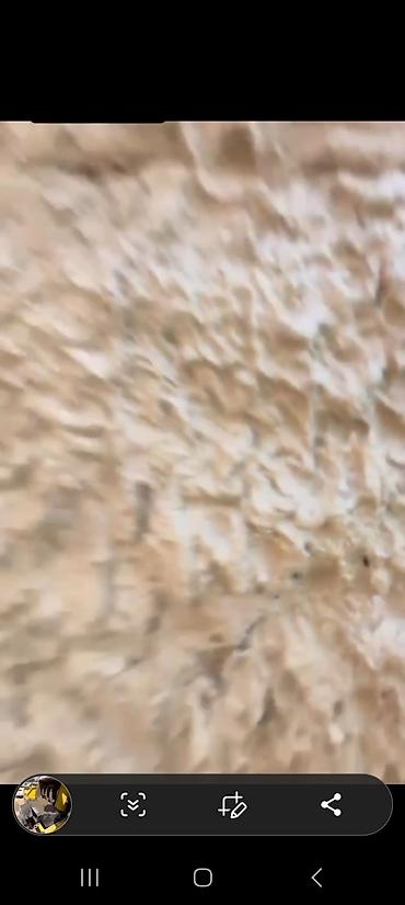 Штукатурка, шпаклевка: Кладка и штукатурка стен, перегородки, черновые работы — 10