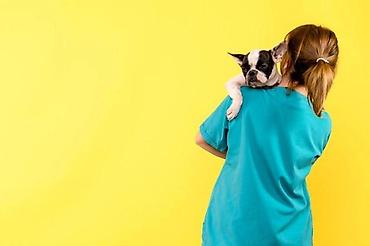 dog argentina: 🐶🐱 Нужен надёжный человек для вашего питомца? Я помогу! 🐾 С любовью и — 1