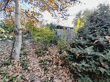 Продажа коттеджей и домов: Продам два дома на одном участке. Общая площадь участка 14.58 сотки — 25