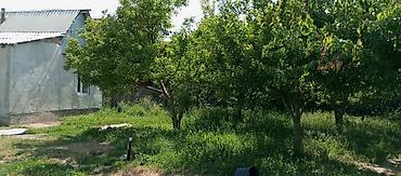 Яблоня: Евразия паркына жакын Алыкулов-Магистральдын кесилиши тараптан 5 соток at lalafo.kg — 10 Яблоня: Евразия паркына жакын Алыкулов-Магистральдын кесилиши тараптан 5 соток — 10