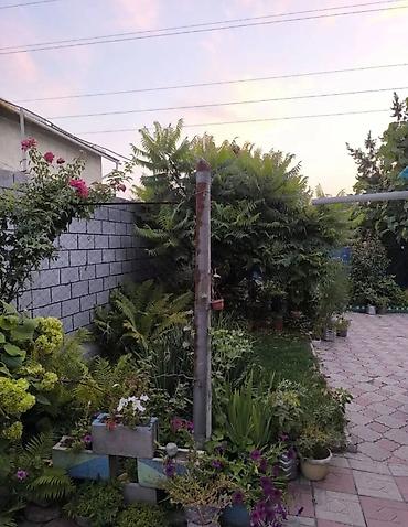 Продажа коттеджей и домов: Продаётся уютный дом площадью 67 кв.м на участке размером 4,9 соток — 2