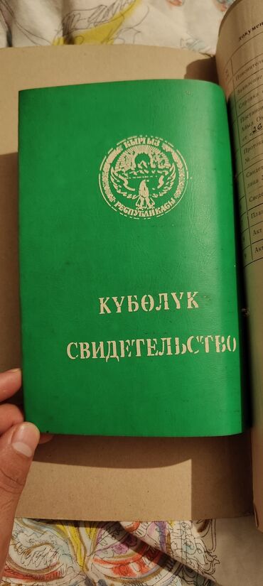 самые сильные адвокаты кыргызстана: Юридикалык кызматтар | Жер укугу