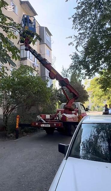 шина 255 55 19: Стрела 18 м, 250 т — 3